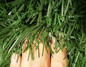 v�no�n� strome�ek na v�noce